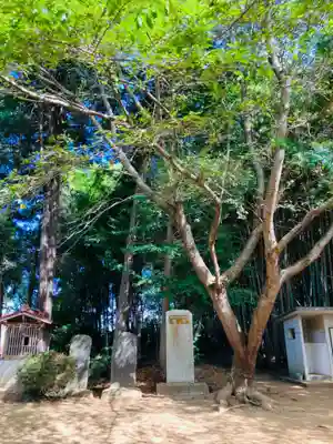 愛宕神社(茨城県)