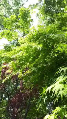 亀田八幡宮(北海道)