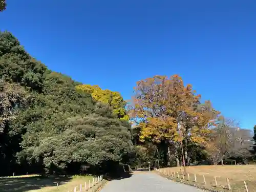 明治神宮(東京都)