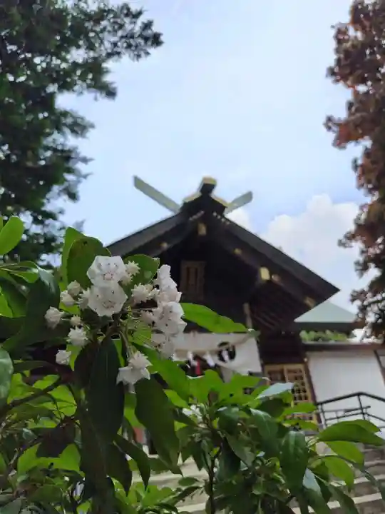 厚別神社(北海道)