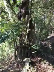 八幡神社の末社