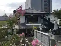 泰聖寺の本殿・本堂