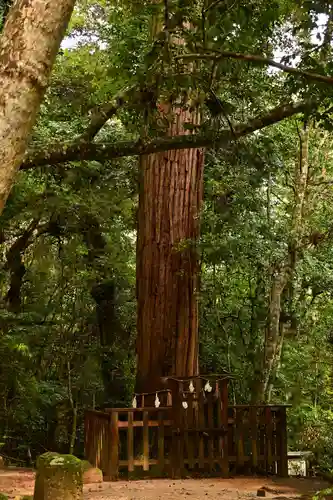 八重垣神社(島根県)