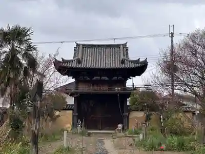 般若寺 ❁﻿コスモス寺❁(奈良県)