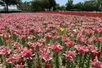 五智如来堂(福井県)