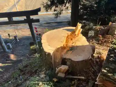 大宮温泉神社(栃木県)