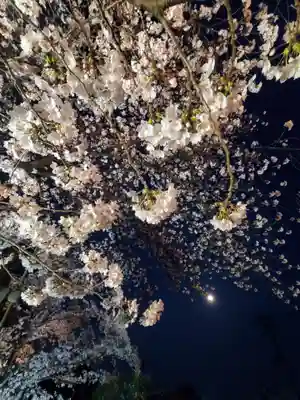 如宝寺(福島県)