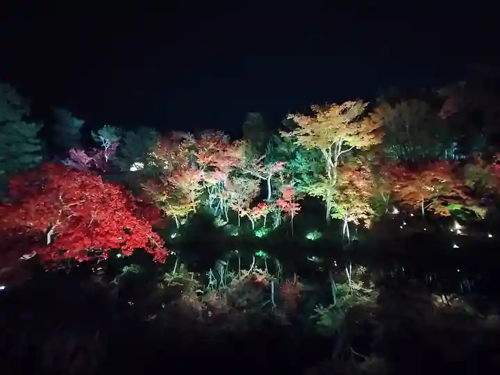 高台寺(高台寿聖禅寺・高臺寺)(京都府)