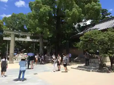 太宰府天満宮の鳥居