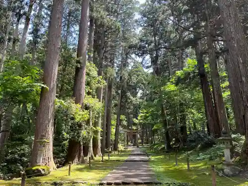 平泉寺白山神社(福井県)