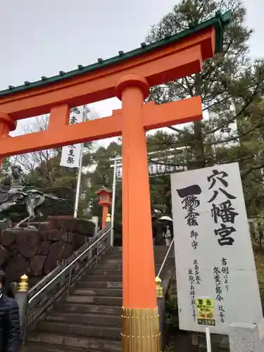 穴八幡宮の鳥居