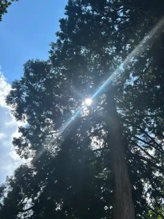 瀧神社(岐阜県)