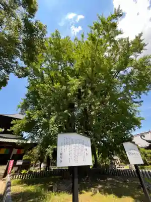 鑁阿寺(栃木県)