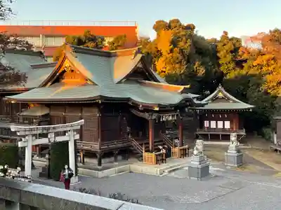 赤羽八幡神社の本殿・本堂