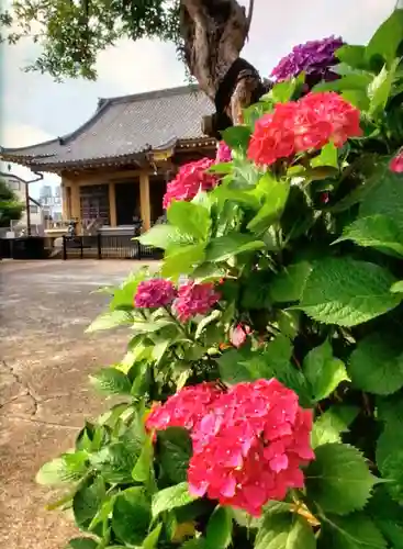 福王山  慈眼寺の自然