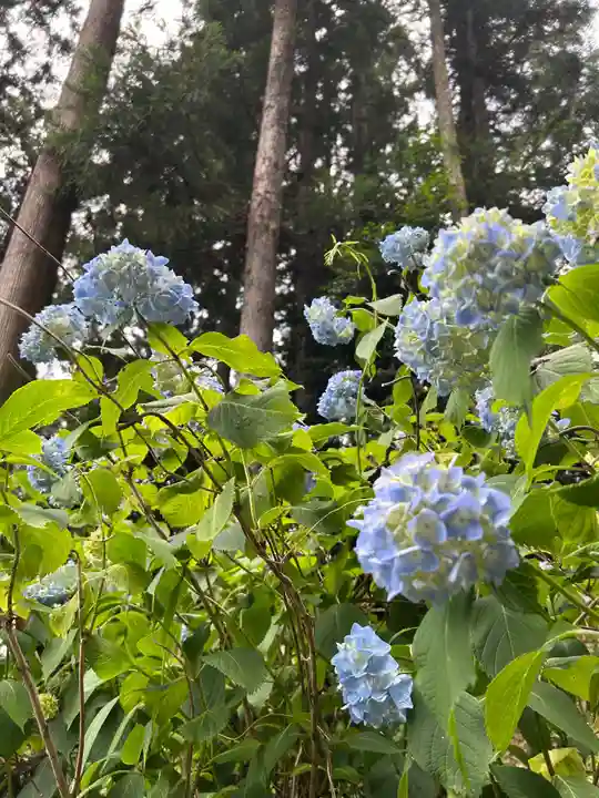 坪沼八幡神社(宮城県)