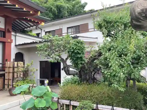 浄土宗 光明山 大蓮寺（照曜会館）(神奈川県)