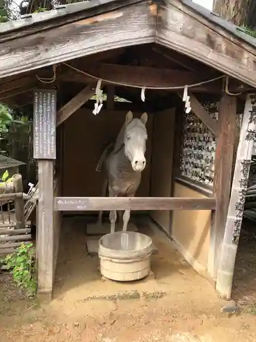 円政寺の建物その他