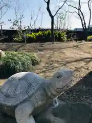 法雲寺の狛犬