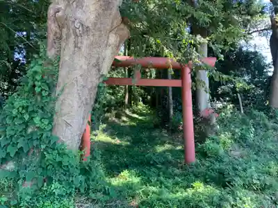 権現神社(千葉県)