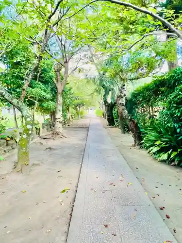 極楽寺（霊鷲山感應院極楽律寺）の景色