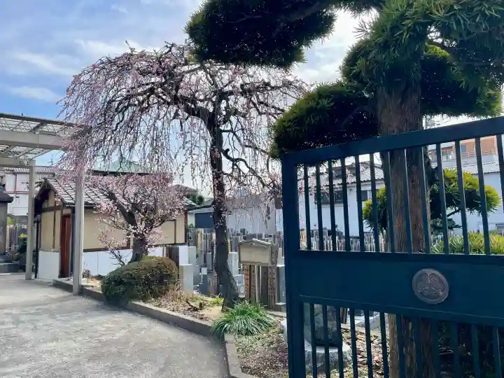 法蔵寺の{uncategorized: "未分類", other: "その他", undefined: "問題あり", building: "その他建物", grave: "お墓", sacred_gate: "鳥居", guardian: "狛犬", statue: "像", buddha: "仏像", history: "歴史", nature: "自然", garden: "庭園", animal: "動物", pagoda: "塔", temizu: "手水舎", mountain_gate: "山門・神門", sanctuary: "本殿・本堂", subordinate: "末社・摂社", art: "芸術", scenery: "景色", jizo: "地蔵", ema: "絵馬", goshuin: "御朱印", omikuji: "おみくじ", items: "授与品その他", amulet: "お守り", goshuincho: "御朱印帳", eats: "食事", festival: "お祭り", votive_dance: "神楽", shichigosan: "七五三参", wedding: "結婚式", experience: "体験その他", initially: "初詣", around: "周辺", anti_infection: "感染症対策"}