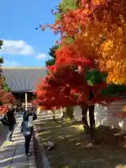 妙顯寺（妙顕寺）の建物その他