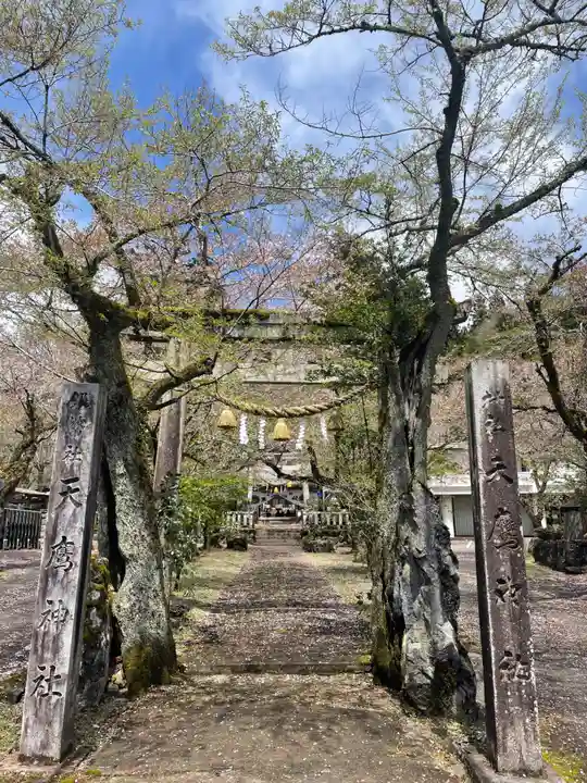 天鷹神社(岐阜県)