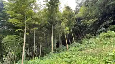 長光院(山形県)