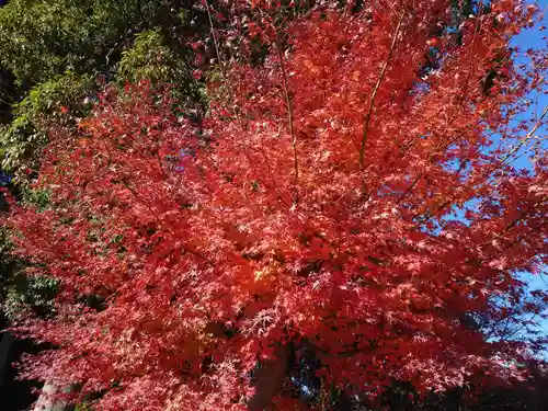 豊景神社(福島県)