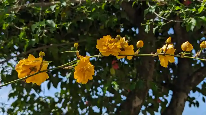 惠心院(京都府)