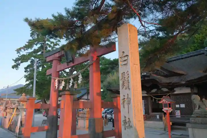 白鬚神社の鳥居