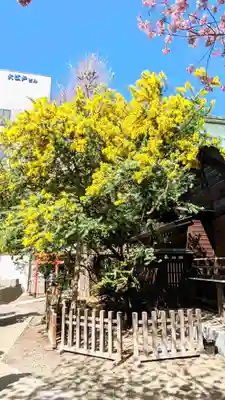 蔵前神社の景色