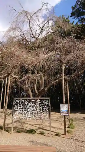 常陸第三宮　吉田神社のその他建物