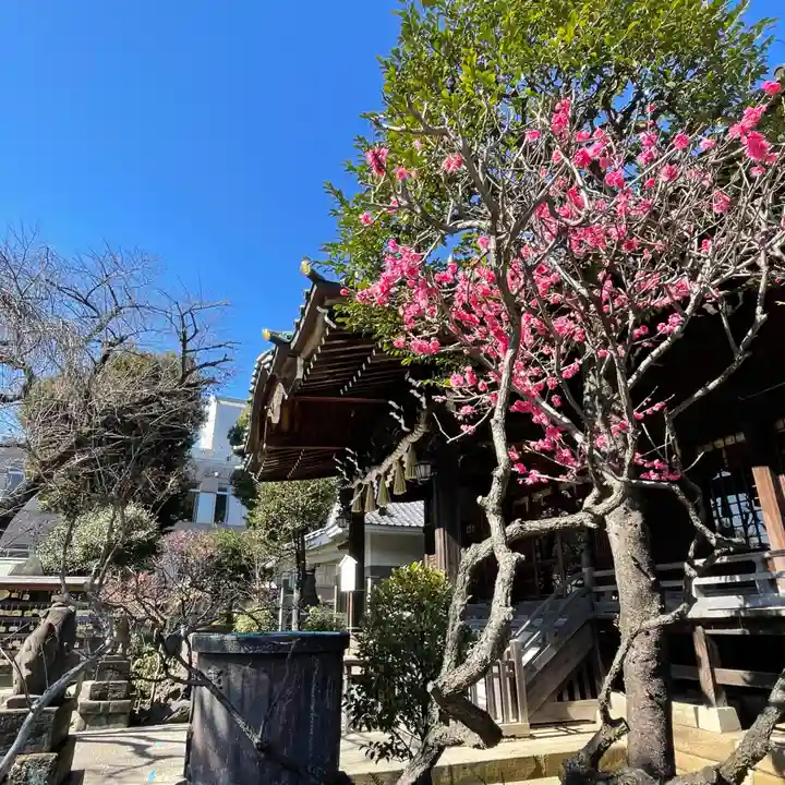 白山神社の自然