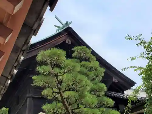 射楯兵主神社の本殿・本堂