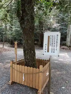 丹生神社の自然