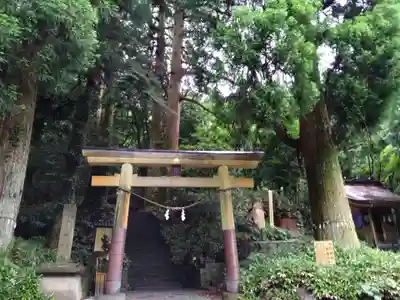 白鳥神社(宮崎県)