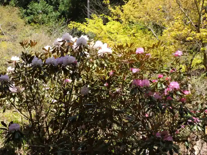横蔵寺(岐阜県)