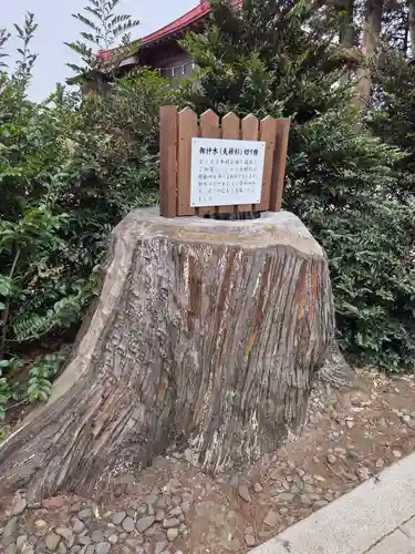 平出雷電神社(栃木県)