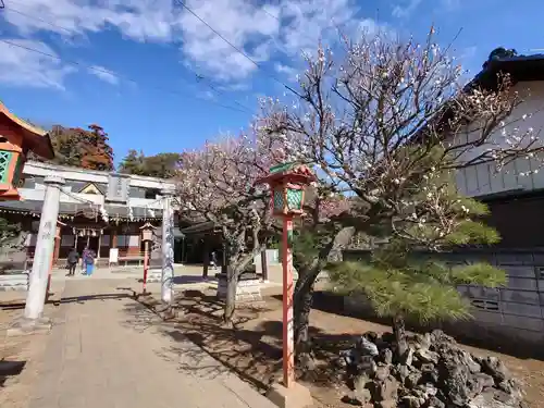 女化神社(茨城県)