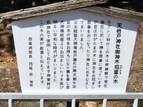 本土神社の建物その他