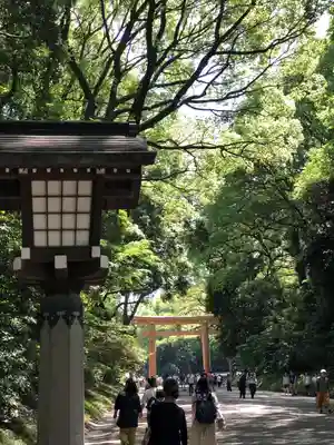 明治神宮(東京都)
