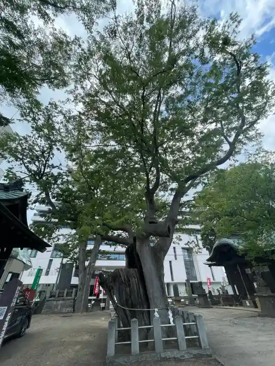 阿邪訶根神社(福島県)