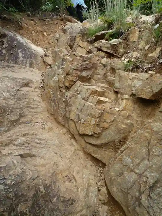 金刀比羅神社の自然