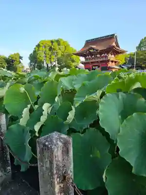 伊賀八幡宮(愛知県)
