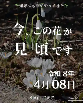 宝光寺(北海道)