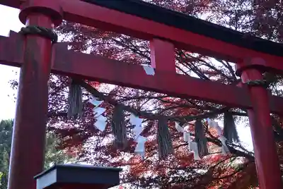 高尾山薬王院(東京都)