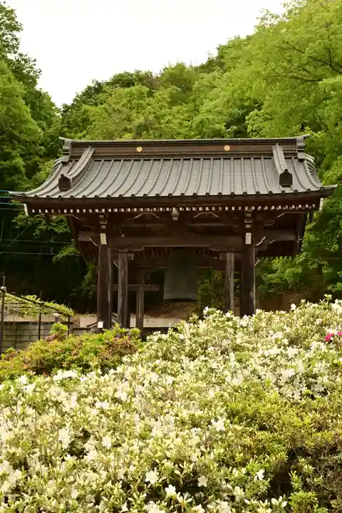 長泉寺(埼玉県)