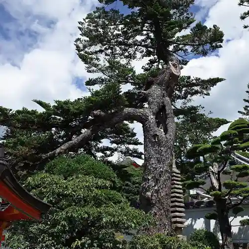 中山寺の庭園